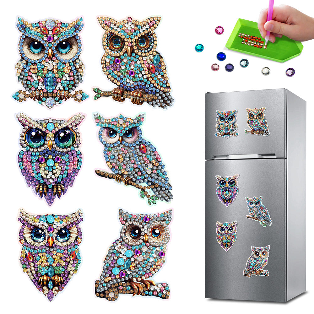 6Pcs Gorgeous Owl Diamond Painting Fridge Magnets Kit