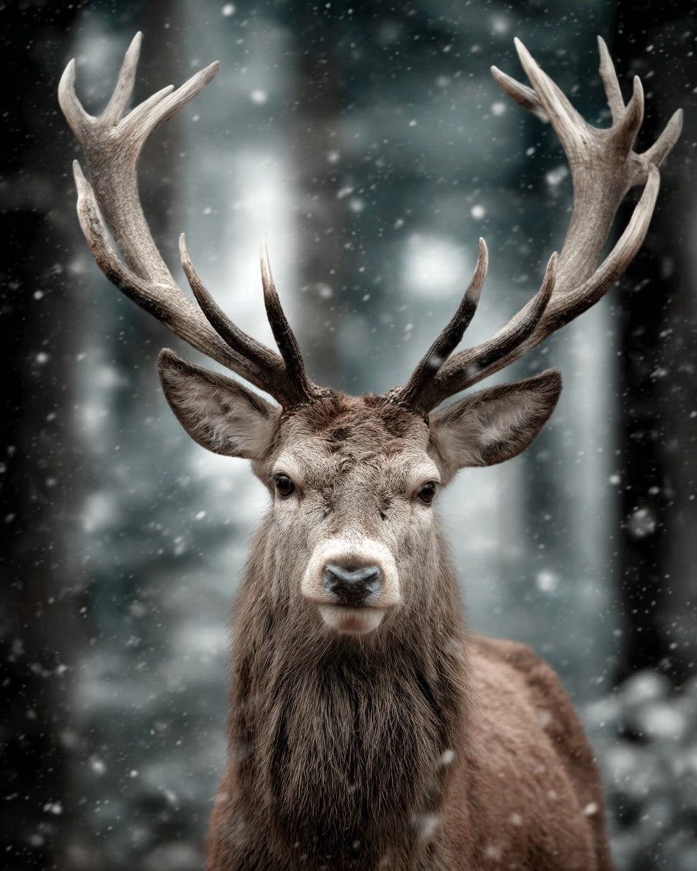 Deer in the Flying Snow Diamond Painting