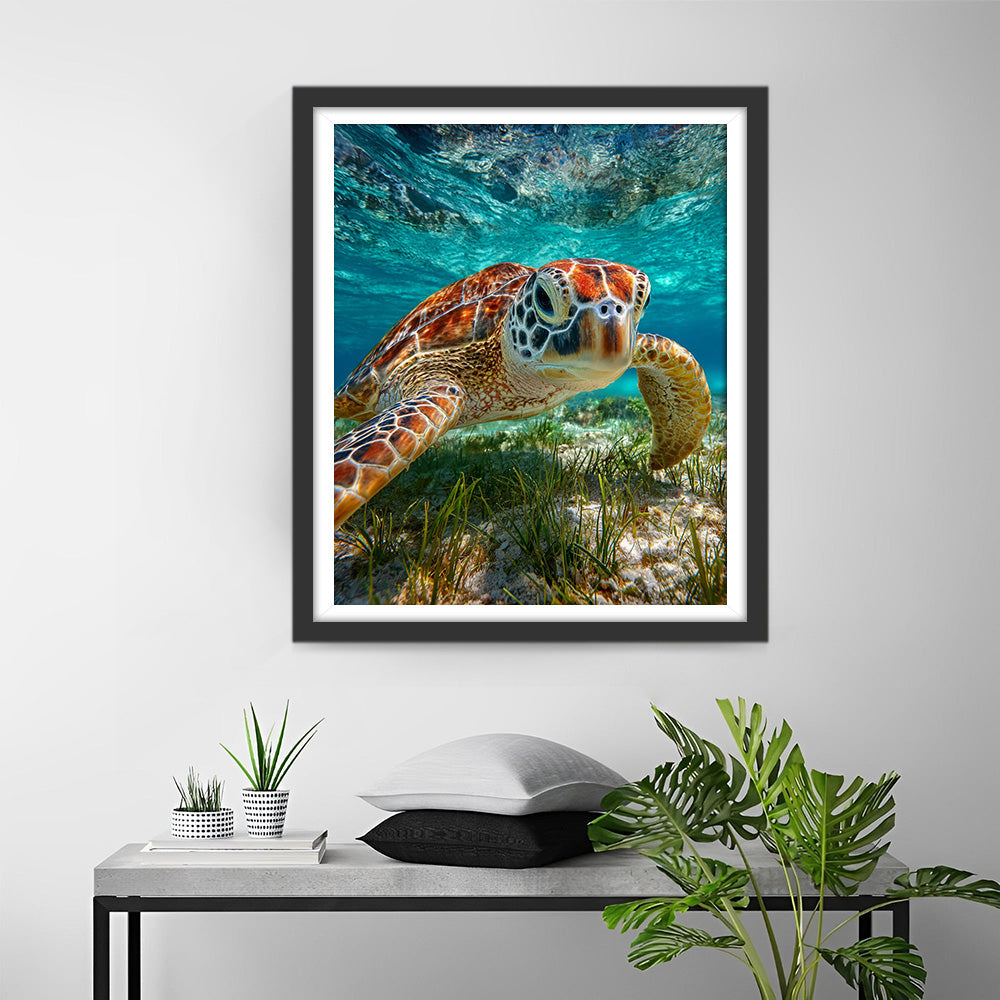 Sea Turtle on the Seabed Diamond Painting